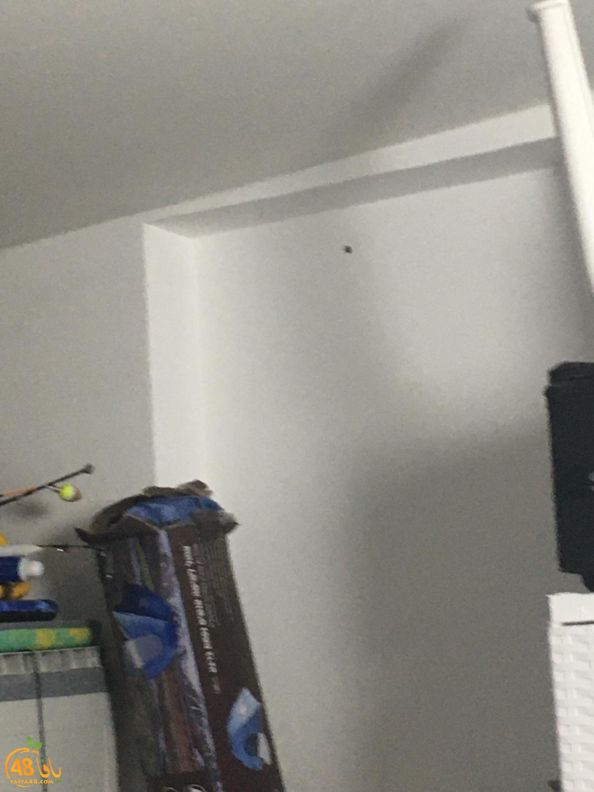 WhatsApp Image 2021-01-24 at 9.04.01 AM (1).jpeg